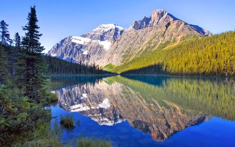 独特智能智能